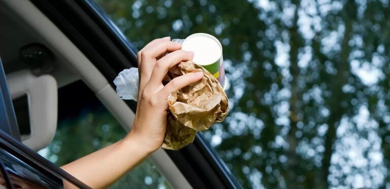 Конфискация авто за выброс мусора из машины.